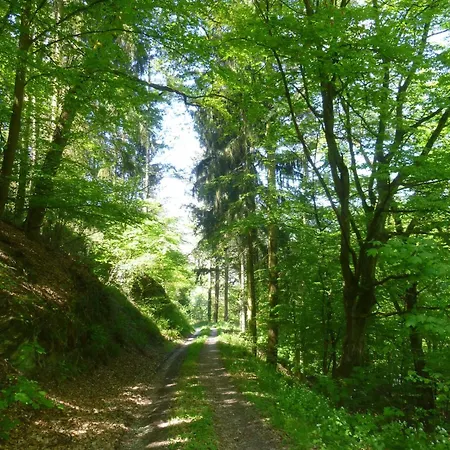 Moselschiefer Traumferienwohnung Am Moselufer Apartman Traben-Trarbach