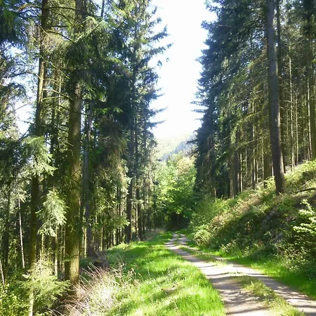 Moselschiefer Traumferienwohnung Am Moselufer Traben-Trarbach